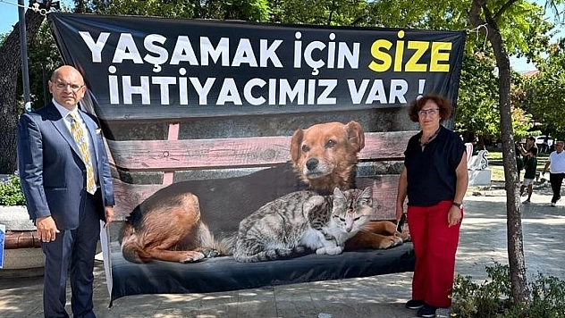 Sokak Hayvanları İçin Bir Araya Geldiler