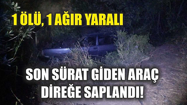 Son sürat giden araç direğe saplandı! 1 ölü, 1 ağır yaralı