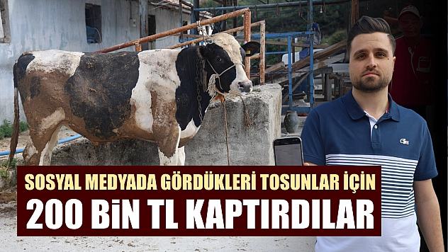 Sosyal medyada gördükleri tosunlar için 200 bin TL kaptırdılar