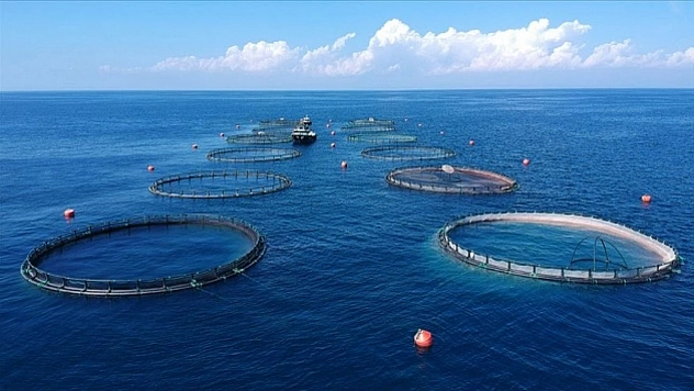 Su ürünleri ihracatından 1,7 milyar dolar gelir elde edildi