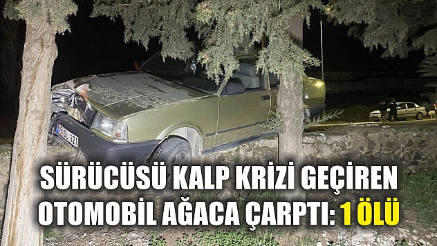 Sürücüsü kalp krizi geçiren otomobil ağaca çarptı: 1 ölü