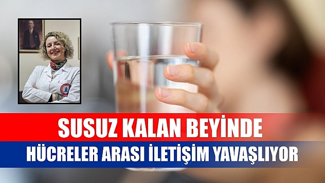 Susuz kalan beyinde hücreler arası iletişim yavaşlıyor
