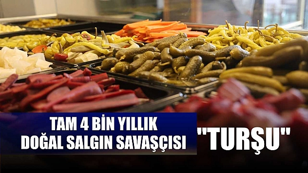 Tam 4 bin yıllık doğal salgın savaşçısı: 'Turşu'