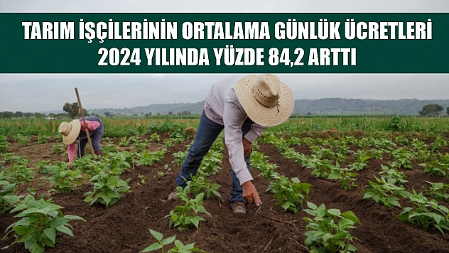 Tarım işçilerinin ortalama günlük ücretleri 2024 yılında yüzde 84,2 arttı