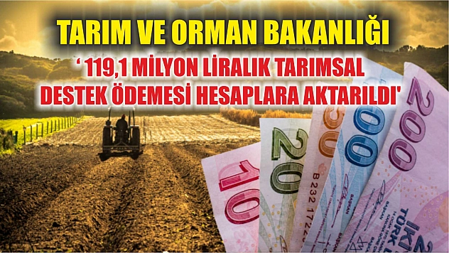 Tarım ve Orman Bakanlığı: ' 119,1 milyon liralık tarımsal destek ödemesi hesaplara aktarıldı'