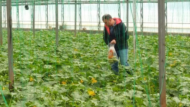 Tarladan Sofraya Güvenilir Gıda Çalışmaları Devam Ediyor