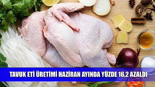 Tavuk eti üretimi Haziran ayında yüzde 16,2 azaldı