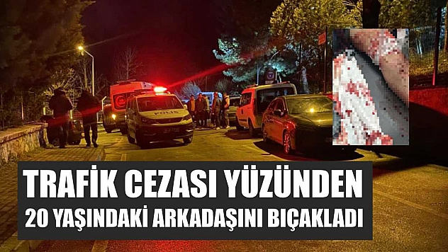 Trafik cezası yüzünden 20 yaşındaki arkadaşını bıçakladı