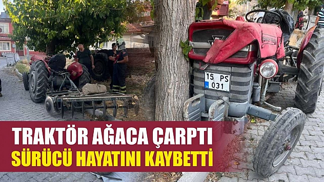 Traktör ağaca çarptı, sürücü hayatını kaybetti