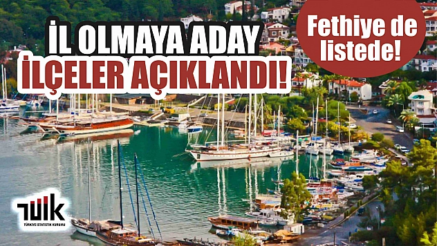 TÜİK, İl olmaya aday İlçeleri açıkladı! Fethiye de listede!
