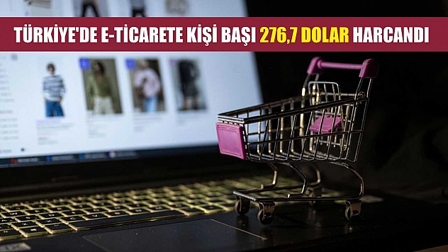 Türkiye'de e-ticarete kişi başı 276,7 dolar harcandı