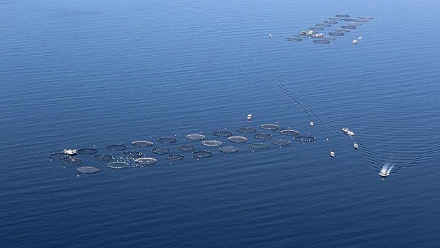 Türkiye'den 100 ülkeye ihraç yapılıyor