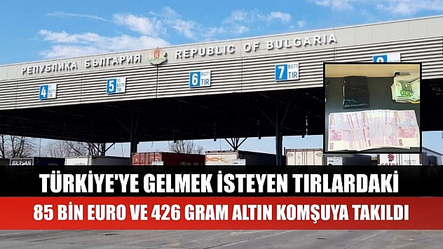 Türkiye'ye gelmek isteyen tırlardaki 85 bin euro ve 426 gram altın komşuya takıldı