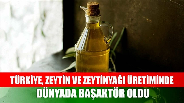 Türkiye, zeytin ve zeytinyağı üretiminde dünyada başaktör oldu