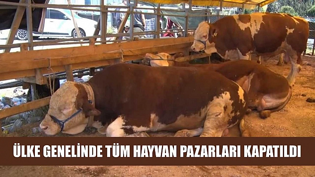 Ülke genelinde tüm hayvan pazarları kapatıldı