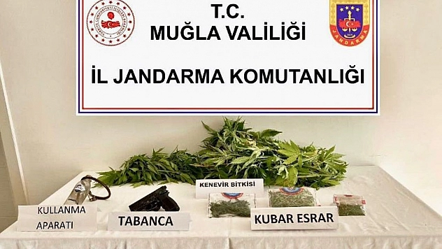 Uyuşturucu operasyonunda 1 gözaltı