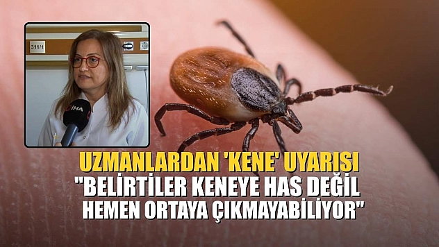 Uzmanlardan 'kene' uyarısı: 'Belirtiler keneye has değil, hemen ortaya çıkmayabiliyor'