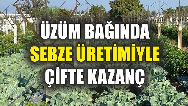 Üzüm bağında sebze üretimiyle çifte kazanç