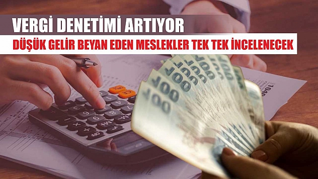 Vergi denetimi artıyor: Düşük gelir beyan eden meslekler tek tek incelenecek