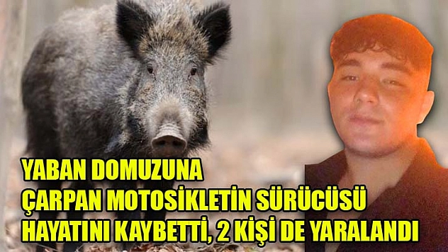 Yaban Domuzuna Çarpan Motosikletin Sürücüsü Hayatını Kaybetti, 2 Kişi De Yaralandı