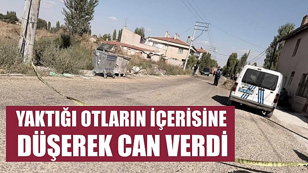 Yaktığı otların içerisine düşerek can verdi