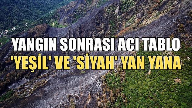 Yangın sonrası acı tablo: 'Yeşil' ve 'siyah' yan yana