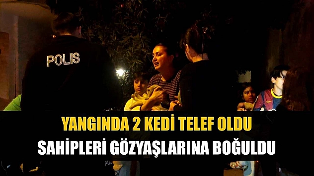Yangında 2 kedi telef oldu, sahipleri gözyaşlarına boğuldu
