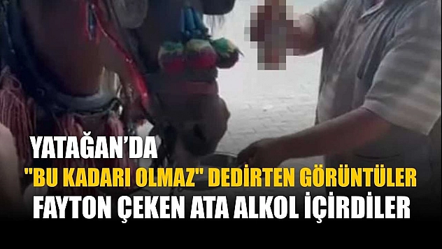 Yatağan'da 'Bu kadarı olmaz' dedirten görüntüler: Fayton çeken ata alkol içirdiler