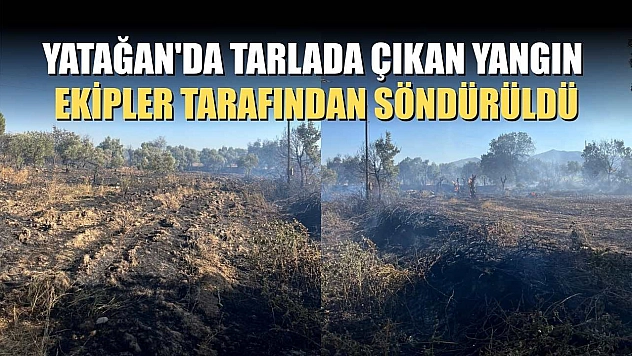 Yatağan'da tarlada çıkan yangın ekipler tarafından söndürüldü