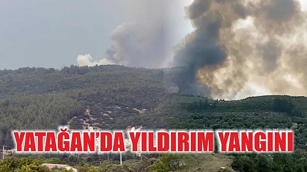 Yatağan'da yıldırım yangını