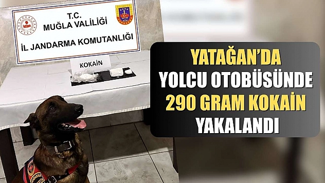 Yatağan'da yolcu otobüsünde 290 gram kokain yakalandı