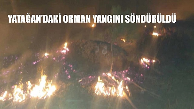 Yatağan'daki orman yangını söndürüldü