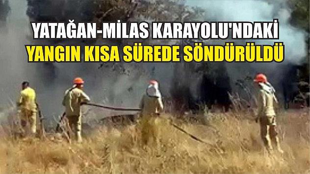 Yatağan-Milas Karayolu'ndaki yangın kısa sürede söndürüldü