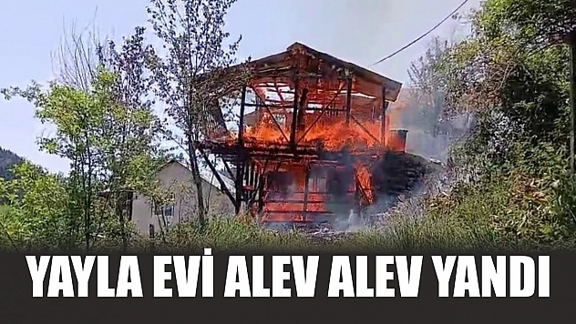 Yayla evi alev alev yandı