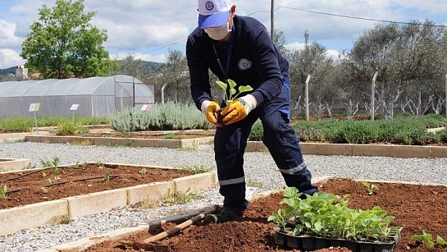 Yerel tohumlar toprakla buluşuyor