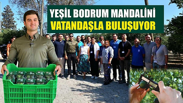 Yeşil Bodrum Mandalini, vatandaşla buluşuyor