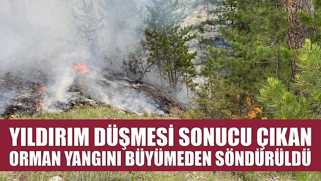 Yıldırım düşmesi sonucu çıkan orman yangını büyümeden söndürüldü