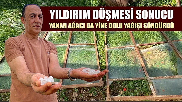 Yıldırım düşmesi sonucu yanan ağacı da yine dolu yağışı söndürdü