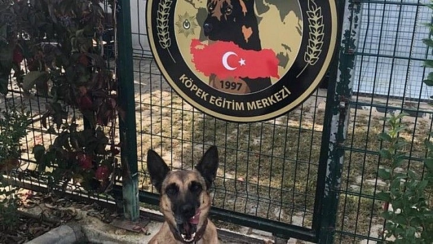 Yılın Narkotik köpeği Muğla'dan 'Hera'