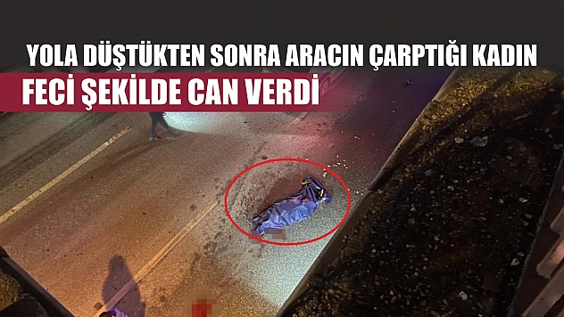 Yola düştükten sonra aracın çarptığı kadın feci şekilde can verdi