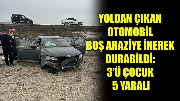 Yoldan Çıkan Otomobil Boş Araziye İnerek Durabildi: 3'ü Çocuk 5 Yaralı