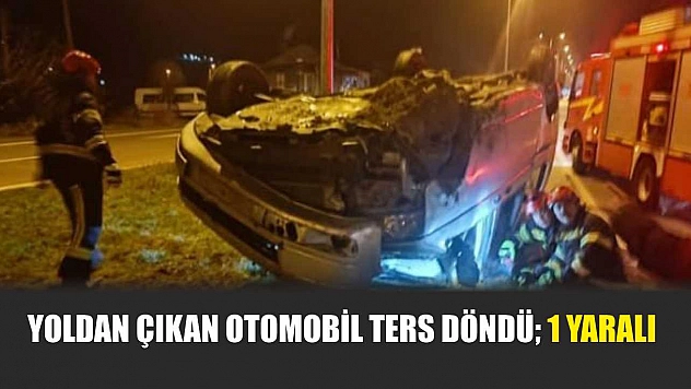 Yoldan çıkan otomobil ters döndü 1 yaralı