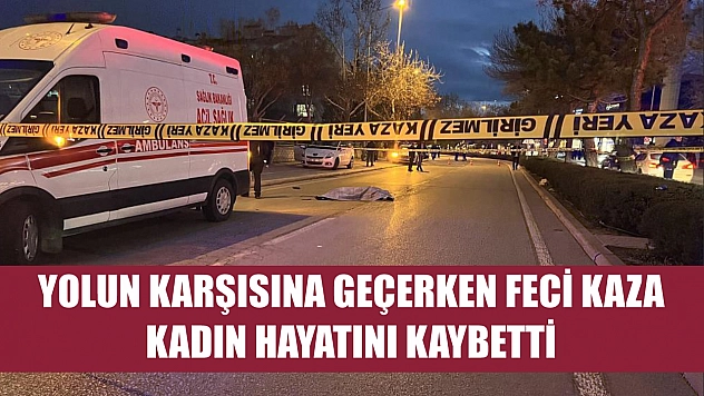 Yolun karşısına geçerken feci kaza: Kadın hayatını kaybetti