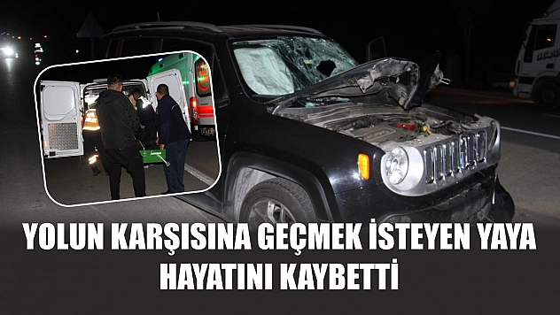 Yolun karşısına geçmek isteyen yaya hayatını kaybetti