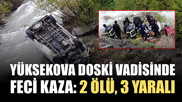 Yüksekova Doski Vadisinde feci kaza: 2 ölü, 3 yaralı