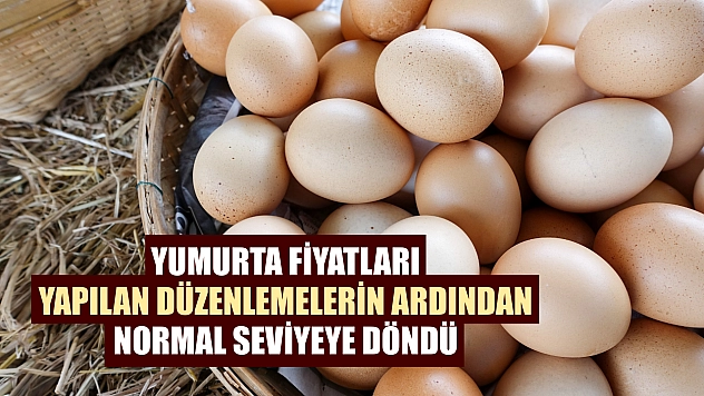 Yumurta fiyatları yapılan düzenlemelerin ardından normal seviyeye döndü