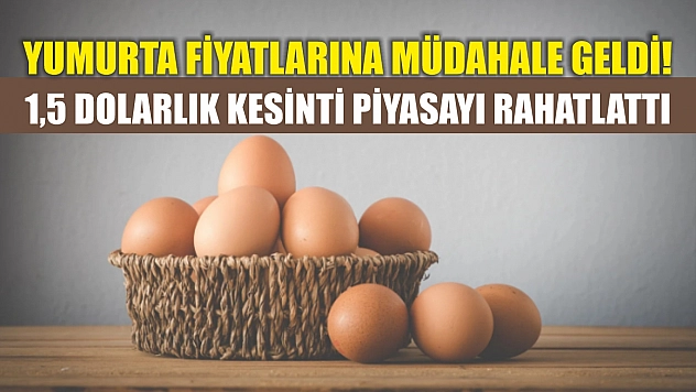 Yumurta fiyatlarına müdahale geldi! 1,5 dolarlık kesinti piyasayı rahatlattı