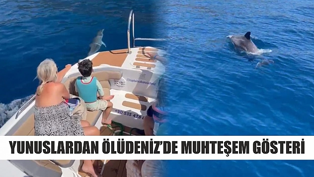 Yunuslardan Ölüdeniz'de muhteşem gösteri