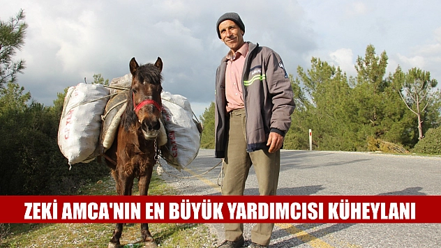 Zeki Amca'nın en büyük yardımcısı küheylanı