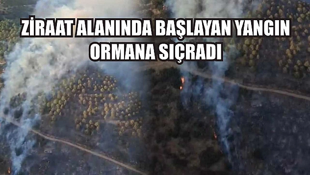 Ziraat alanında başlayan yangın ormana sıçradı